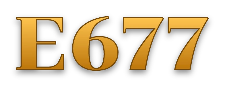 E677 logo
